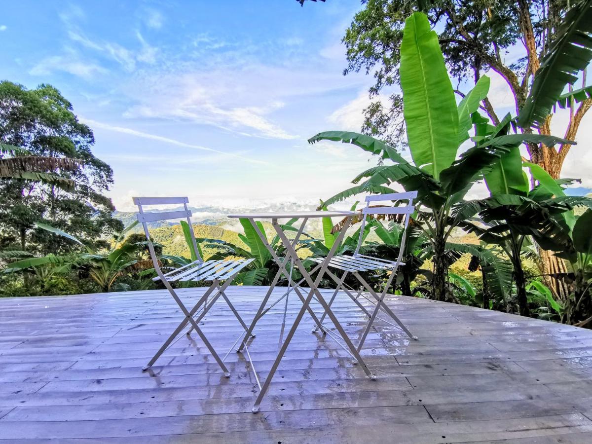 Bajo El Cielo Glamping San Francisco San Francisco (Cundinamarca) Exterior foto